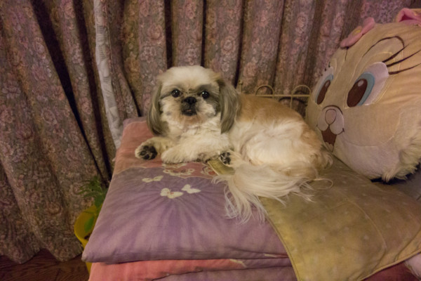 f:id:hidecr:20131226112750j:image