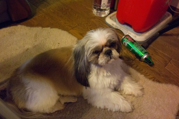f:id:hidecr:20131226112751j:image