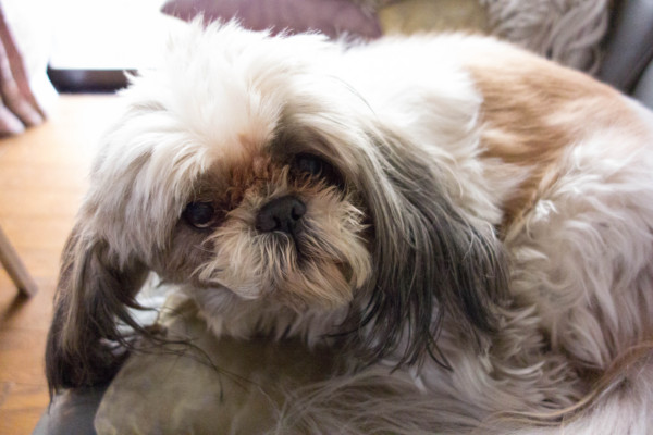 f:id:hidecr:20131226112753j:image
