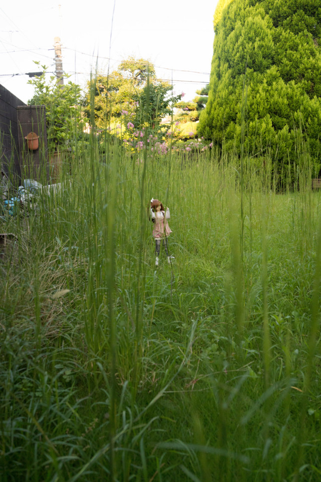 f:id:hidecr:20150922093913j:image