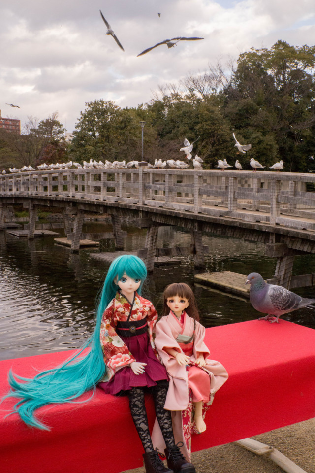 f:id:hidecr:20160114175156j:image f:id:hidecr:20160114175156j:image