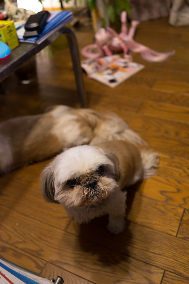 f:id:hidecr:20160325104625j:image