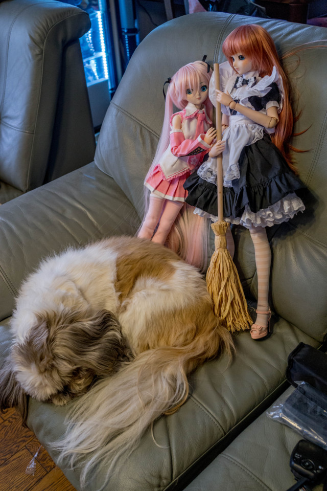 f:id:hidecr:20160420100433j:image