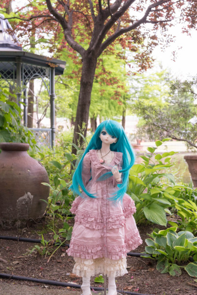 f:id:hidecr:20170517130242j:image