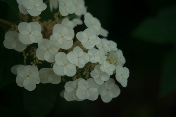 f:id:hidecr:20170804053053j:image