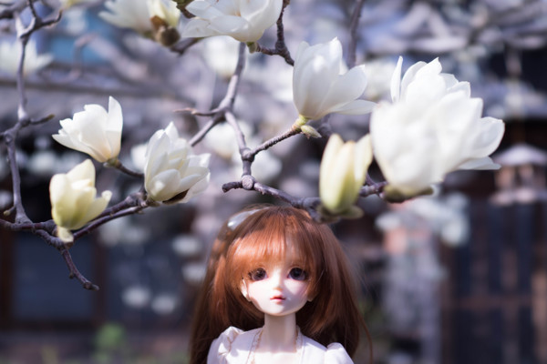 f:id:hidecr:20180323015148j:image