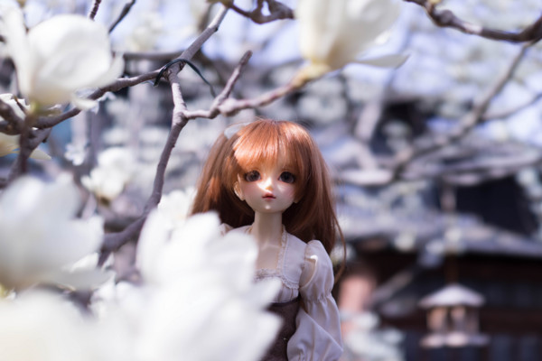 f:id:hidecr:20180323015207j:image