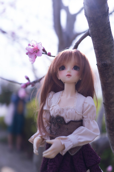 f:id:hidecr:20180323015406j:image