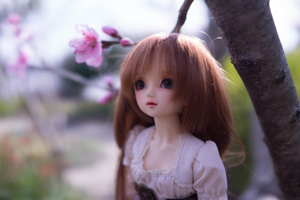 f:id:hidecr:20180323015424j:image