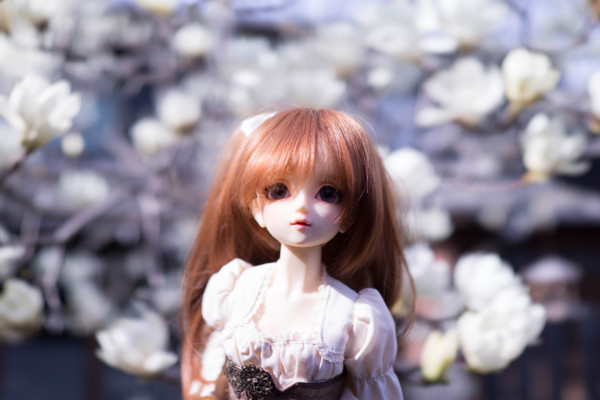 f:id:hidecr:20180323015502j:image