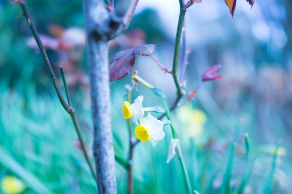 f:id:hidecr:20180323015609j:image
