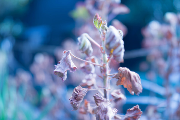 f:id:hidecr:20180323015627j:image