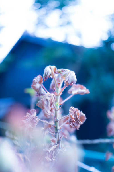 f:id:hidecr:20180323015645j:image
