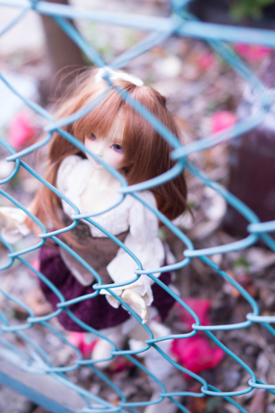 f:id:hidecr:20180323015703j:image