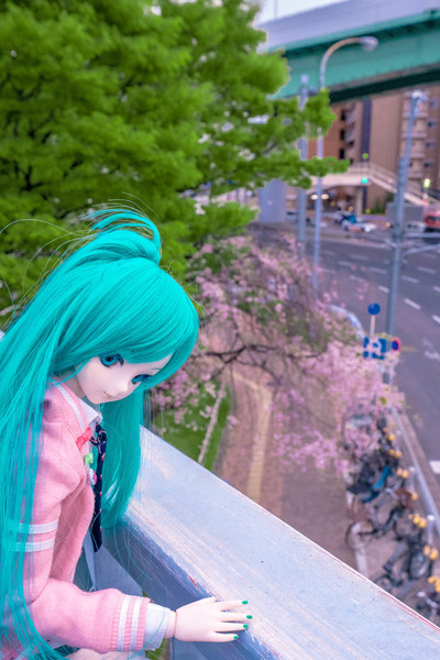 f:id:hidecr:20190418063449j:image