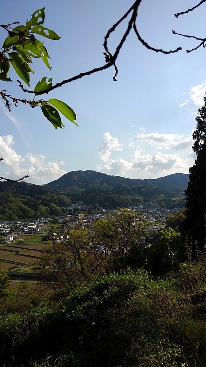 f:id:hidehihi:20190505160858j:plain