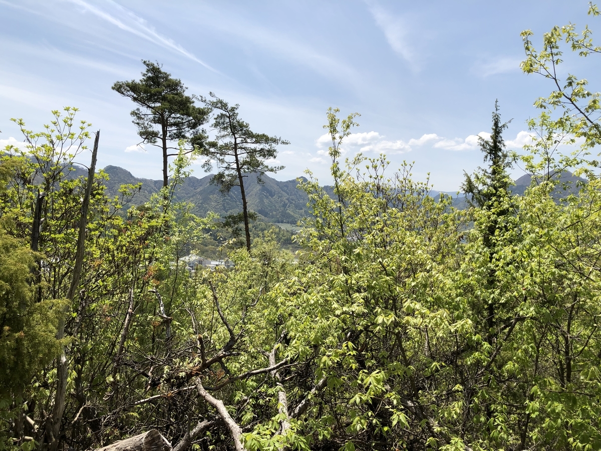 f:id:hidehihi:20190506211018j:plain