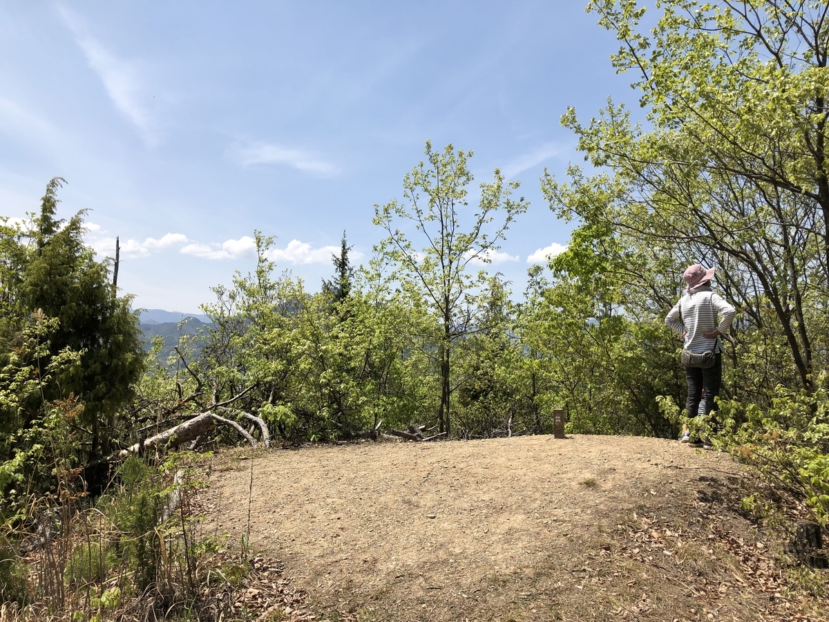 f:id:hidehihi:20190506211151j:plain