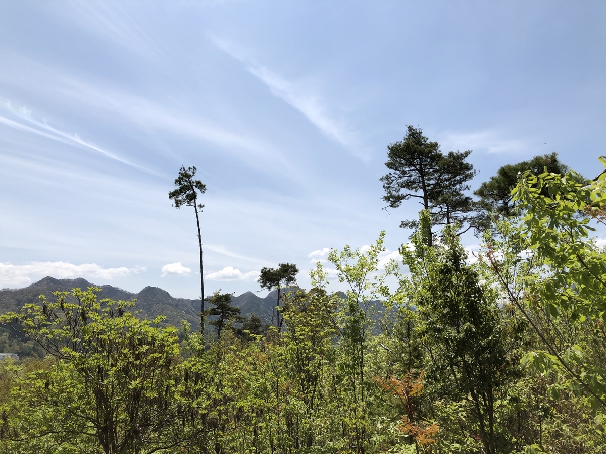 f:id:hidehihi:20190506211340j:plain