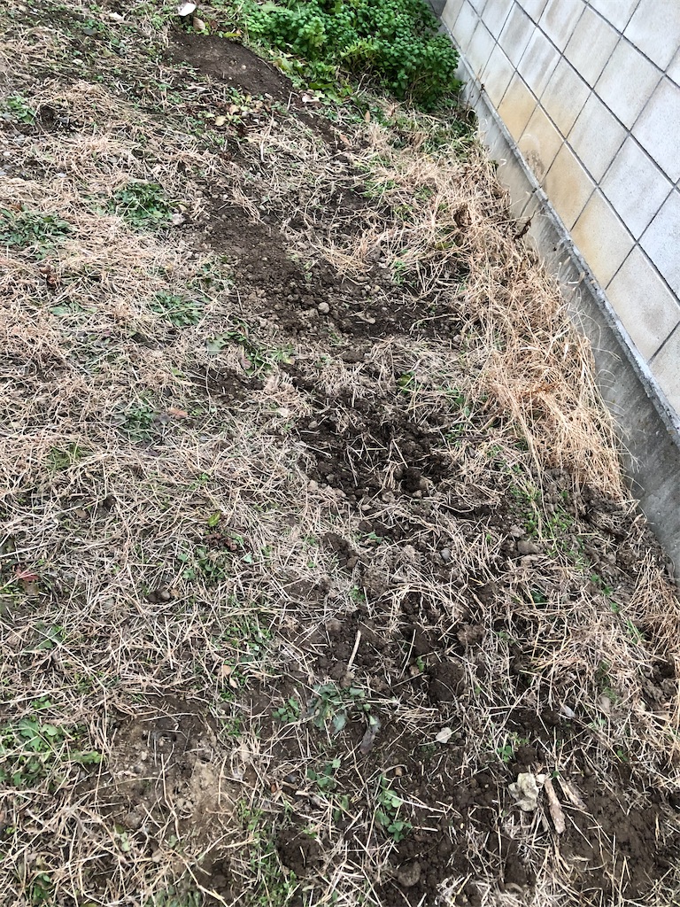 f:id:hidehihi:20191222161415j:image f:id:hidehihi:20191222161415j:image