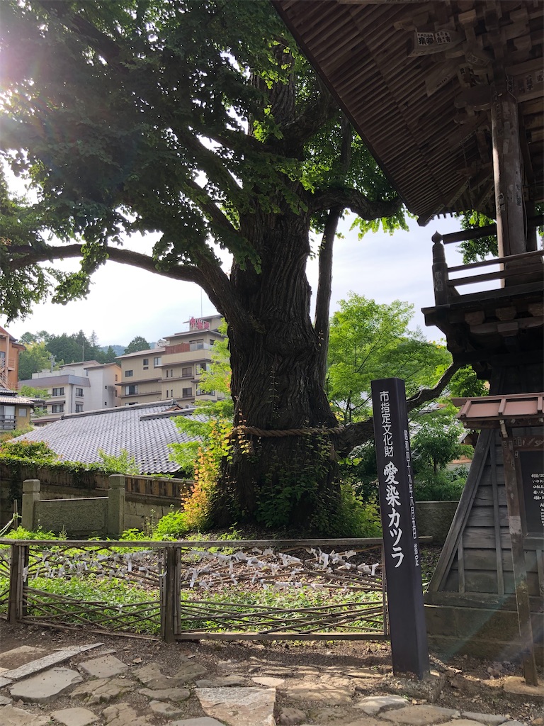 f:id:hidehihi:20200628004434j:image f:id:hidehihi:20200628004434j:image