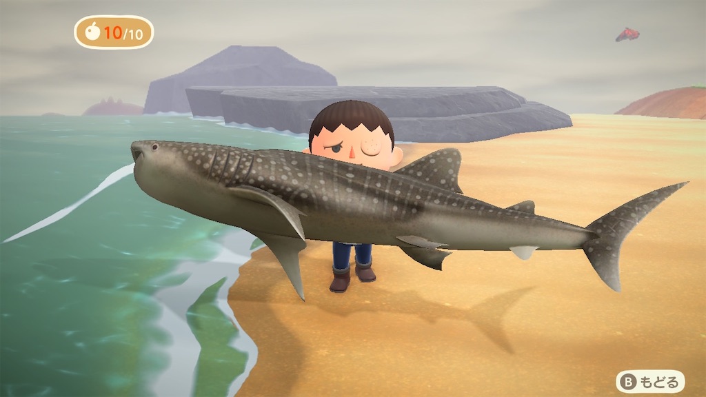 f:id:hidehihi:20201005234313j:image f:id:hidehihi:20201005234313j:image