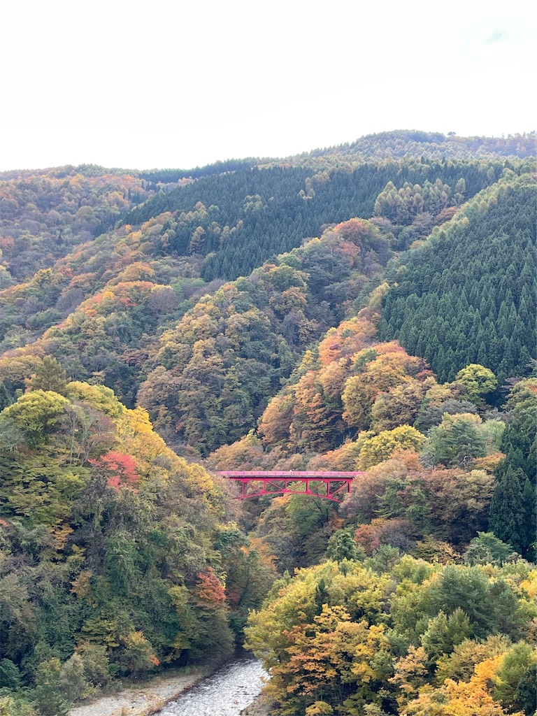 f:id:hidehihi:20251102215529j:image f:id:hidehihi:20251102215529j:image