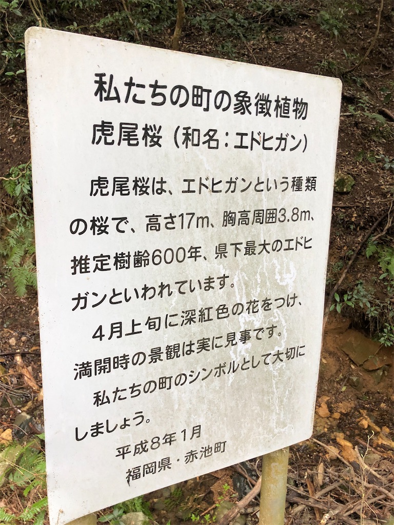 f:id:hidehiker:20210322145106j:image