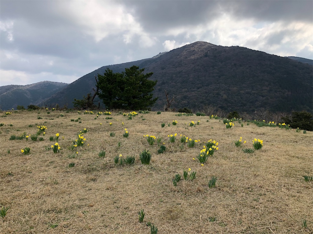 f:id:hidehiker:20210322145428j:image
