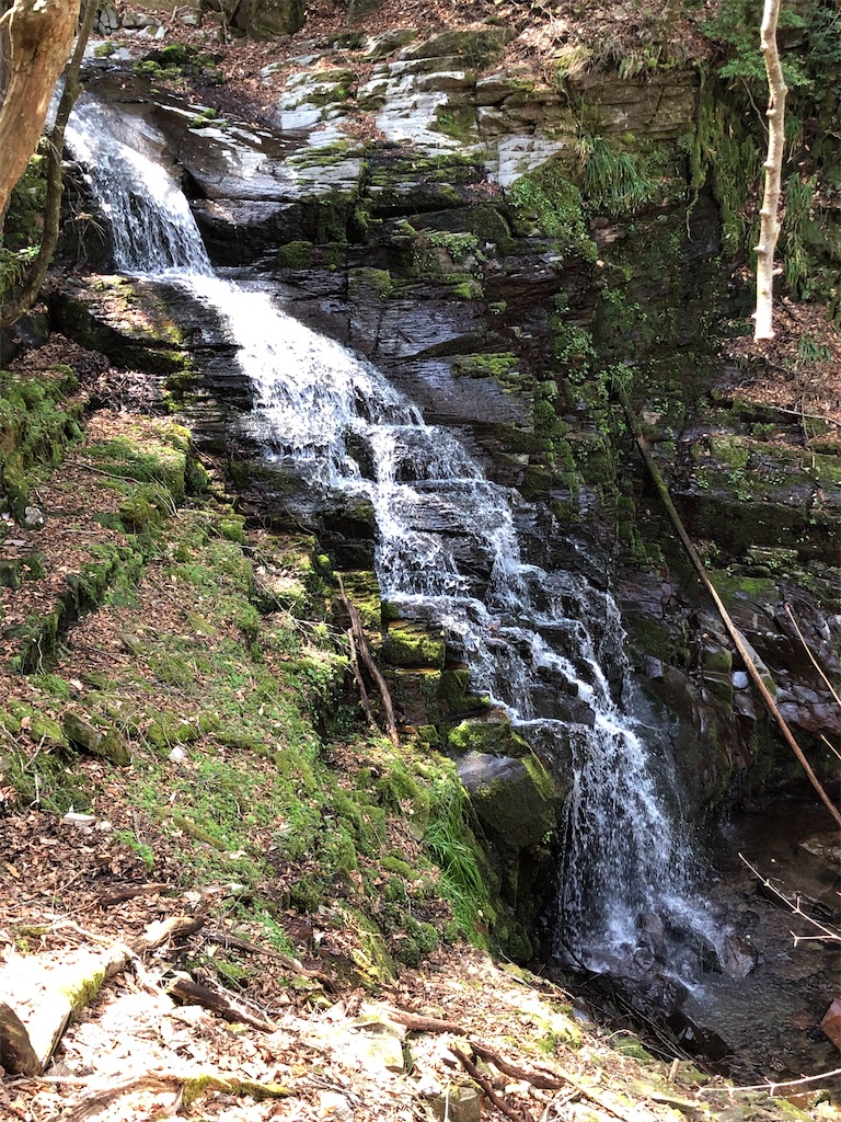 f:id:hidehiker:20210329181840j:image