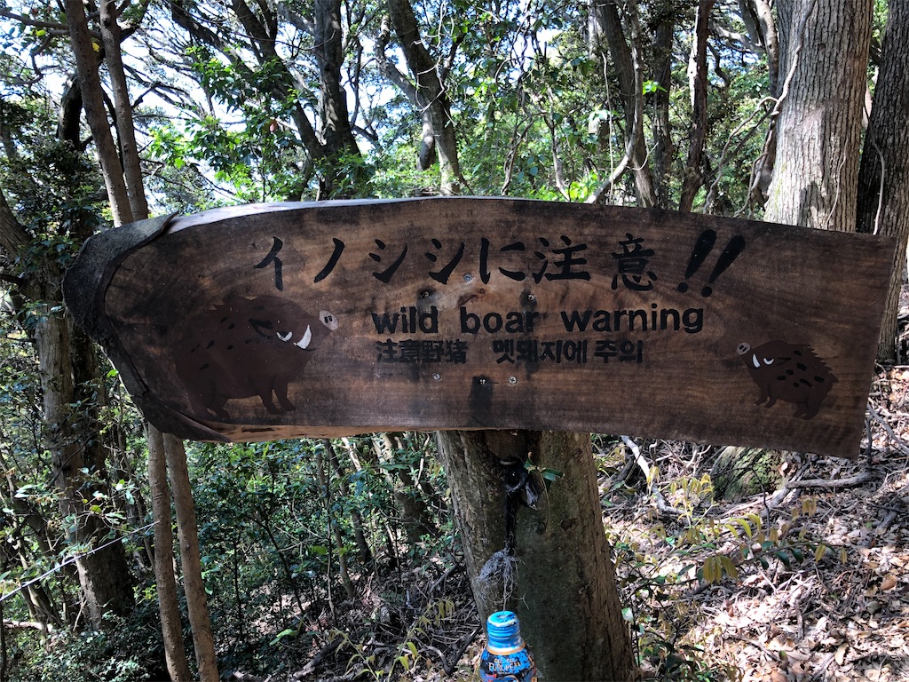 f:id:hidehiker:20210421141404j:image