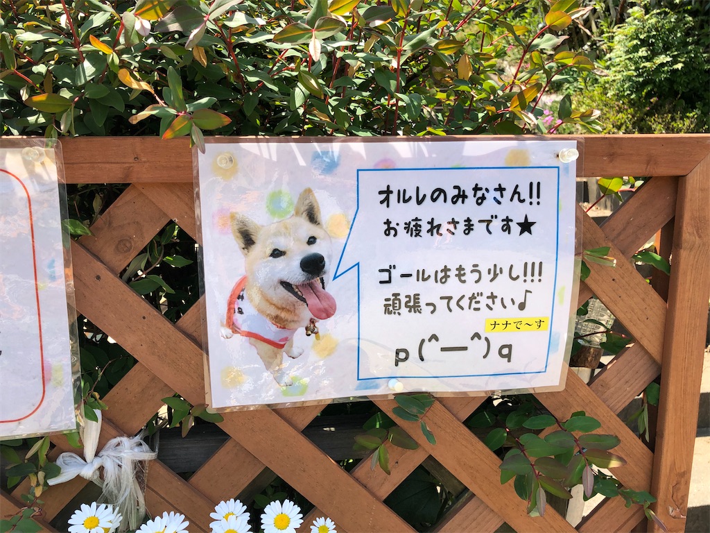 f:id:hidehiker:20210421141423j:image