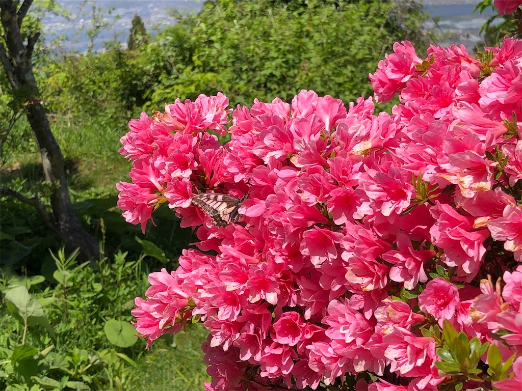 f:id:hidehiker:20210430173630j:image