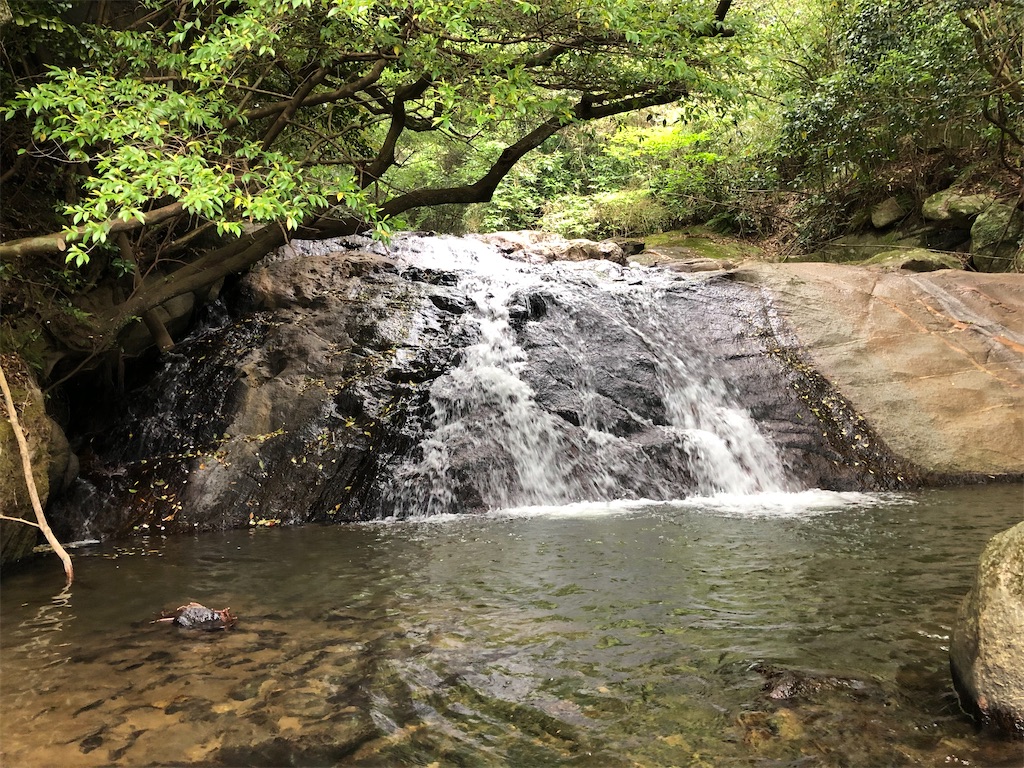 f:id:hidehiker:20210601192920j:image