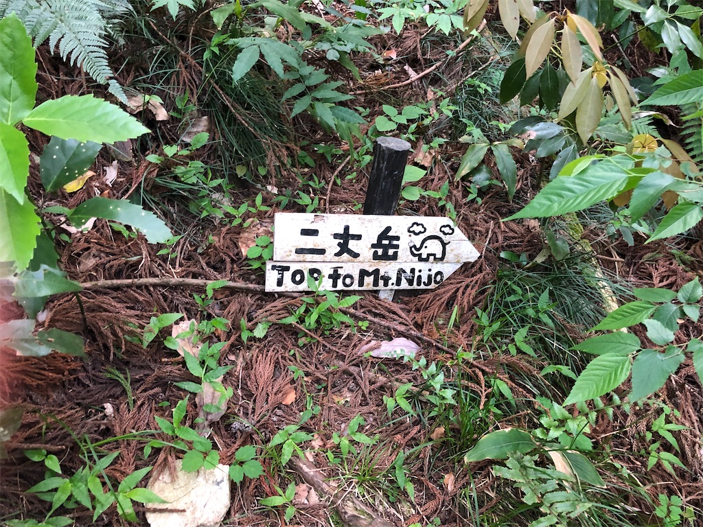 f:id:hidehiker:20210601192939j:image