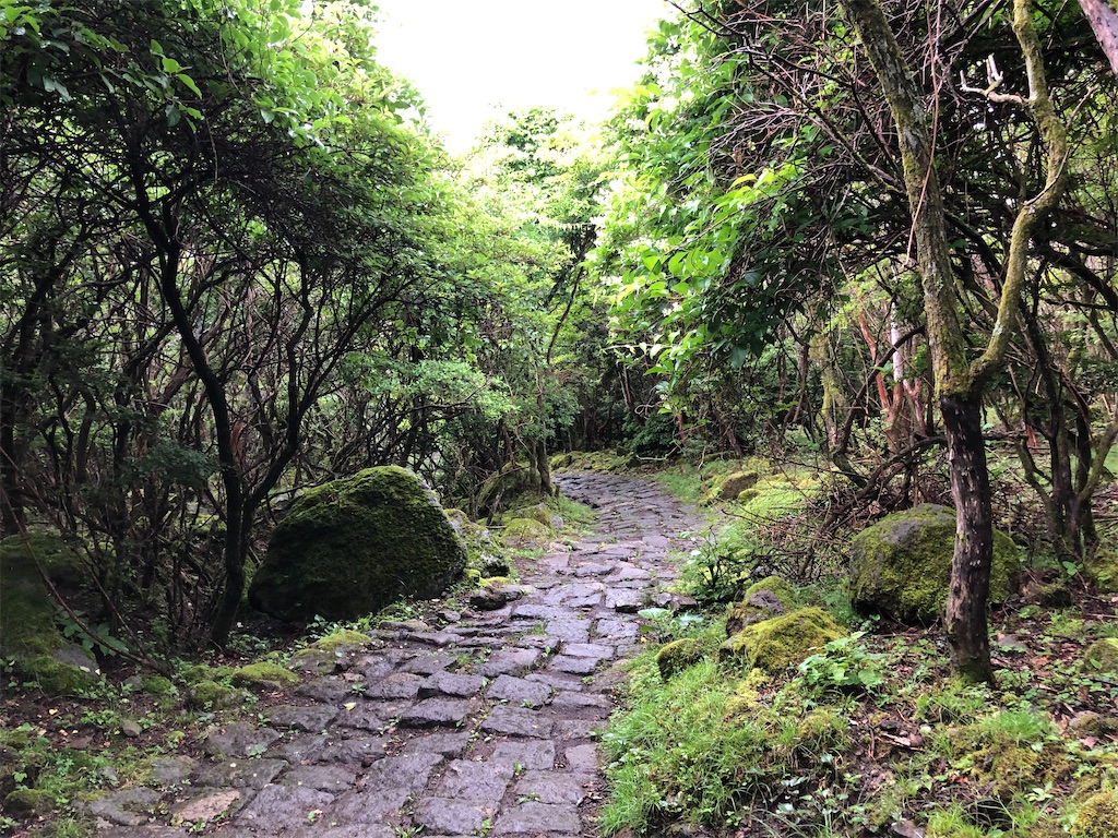 f:id:hidehiker:20210701205741j:image