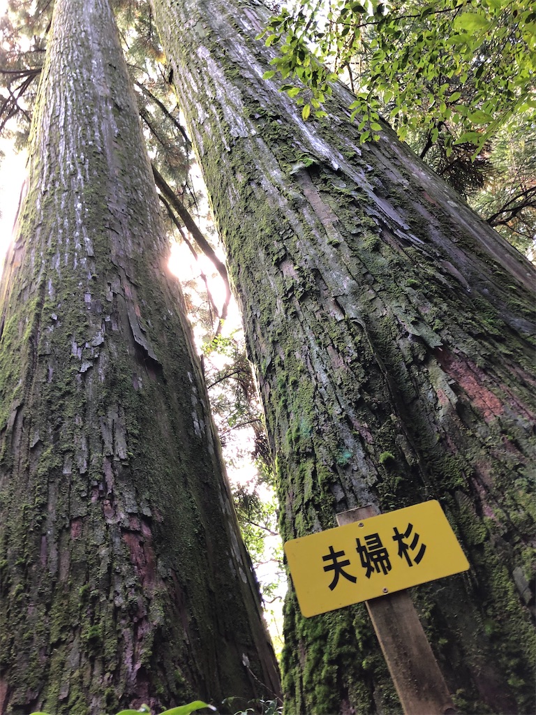 f:id:hidehiker:20210926164747j:image