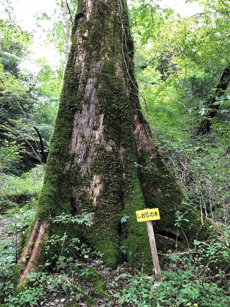 f:id:hidehiker:20210926164810j:image
