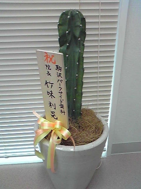 f:id:hidehori1968:20100204181500j:image f:id:hidehori1968:20100204181500j:image