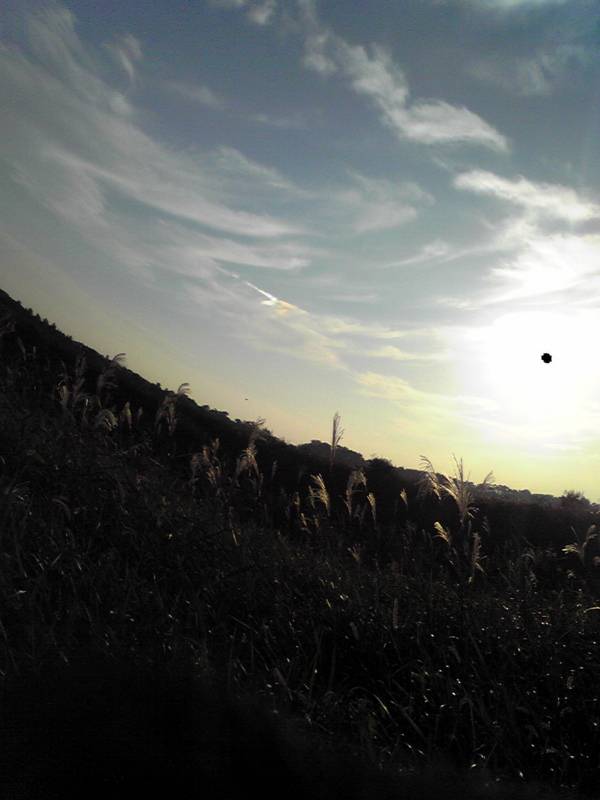 f:id:hidehori1968:20101107154100j:image