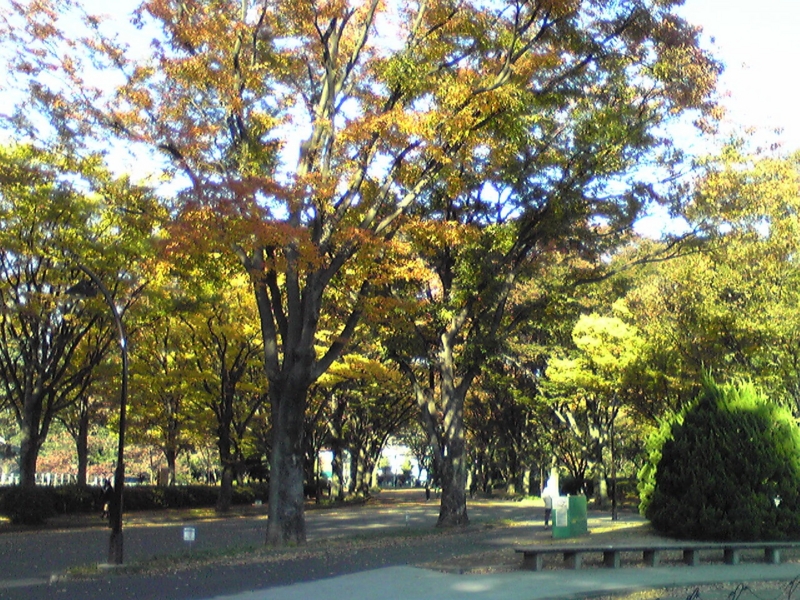 f:id:hidehori1968:20101111081700j:image