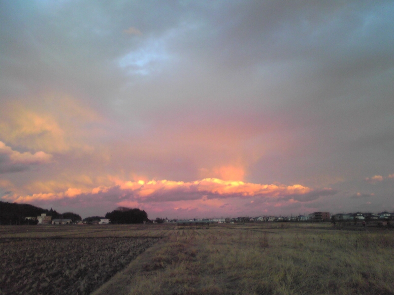 f:id:hidehori1968:20101231162200j:image