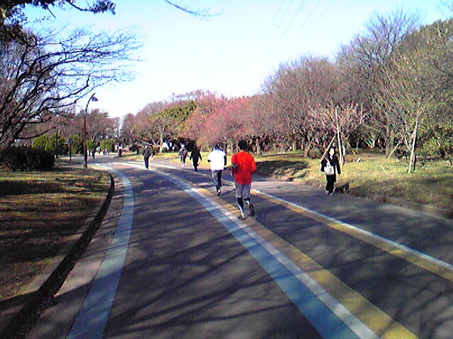 f:id:hidehori1968:20110326084105j:image