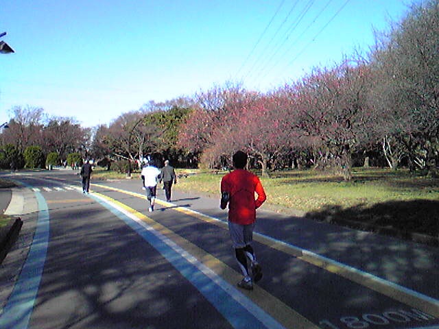 f:id:hidehori1968:20110326084106j:image