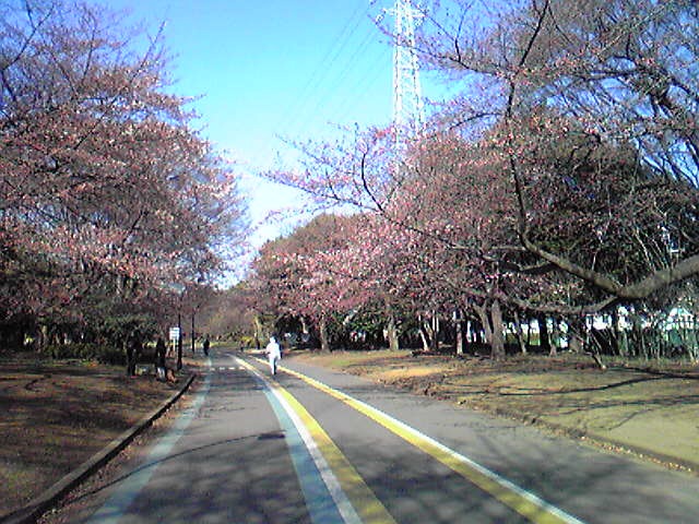 f:id:hidehori1968:20110401090053j:image