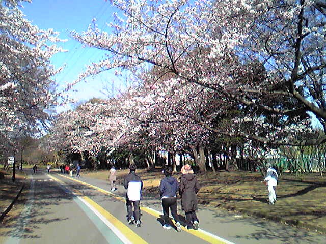 f:id:hidehori1968:20110405084244j:image