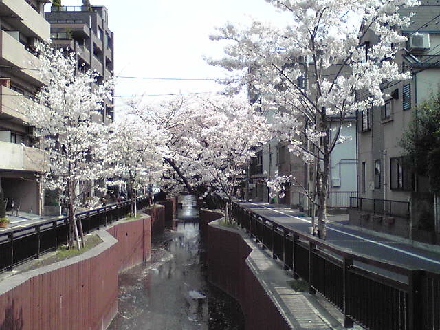 f:id:hidehori1968:20110411104928j:image
