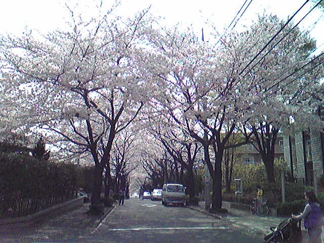 f:id:hidehori1968:20110411104929j:image
