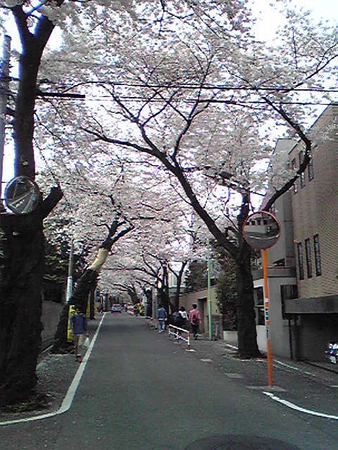 f:id:hidehori1968:20110411104930j:image