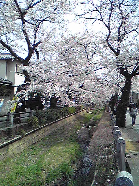 f:id:hidehori1968:20110411104931j:image